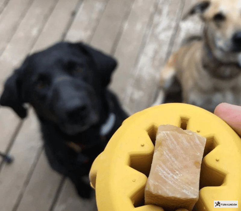 Sodapup treat holder