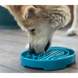 Sodapup Etray Baja Slowfeeder