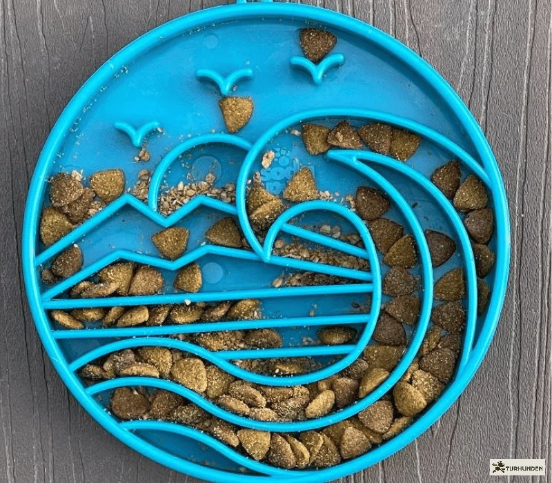 Sodapup Etray Baja Slowfeeder