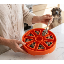 Sodapup Citrus Softie eTray