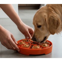 Sodapup Citrus Softie eTray