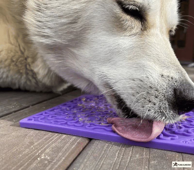 Sodapup Emat Bones Lilla