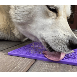 Sodapup Emat Bones Lilla