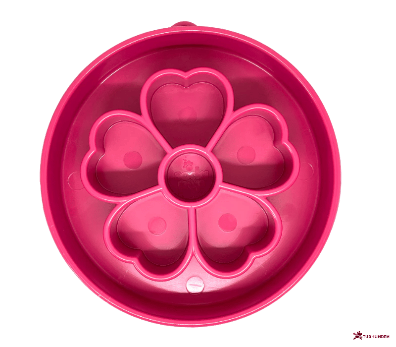 Sodapup  eBowl Flower