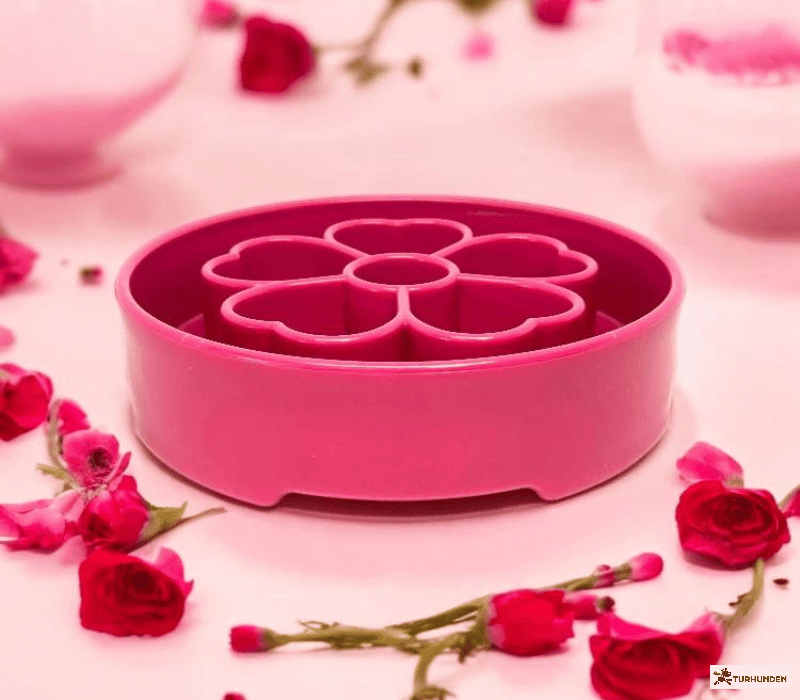 Sodapup  eBowl Flower