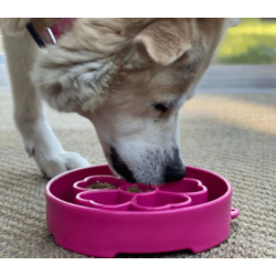 Sodapup  eBowl Flower