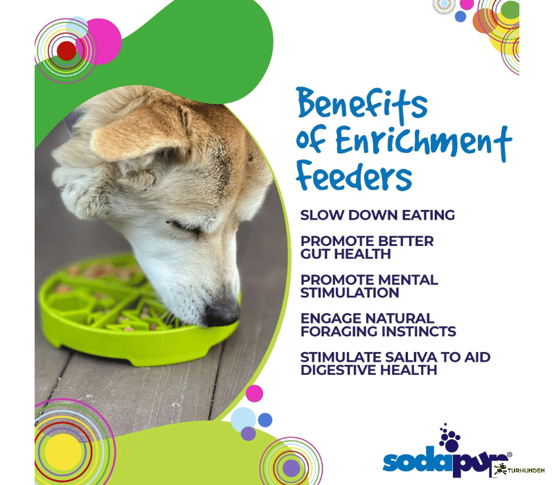 Sodapup Four Seasons  eTray