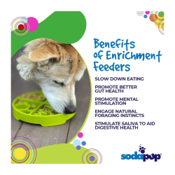 Sodapup Four Seasons  eTray