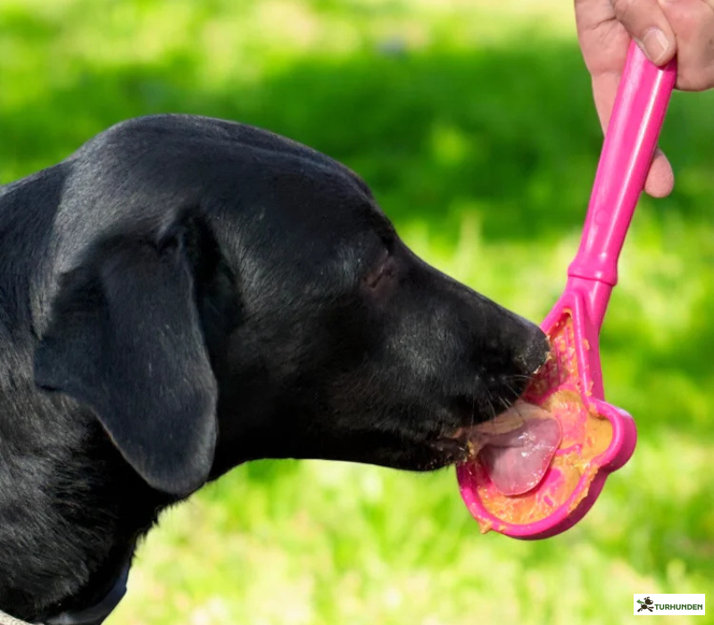 Sodapup Lick Stick Ice Cream
