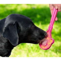 Sodapup Lick Stick Ice Cream