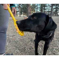 Sodapup Lick Stick Bee Hive