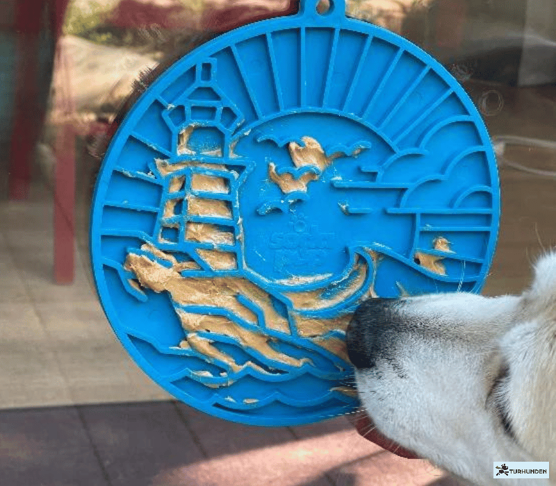 SodaPup eMat LightHouse