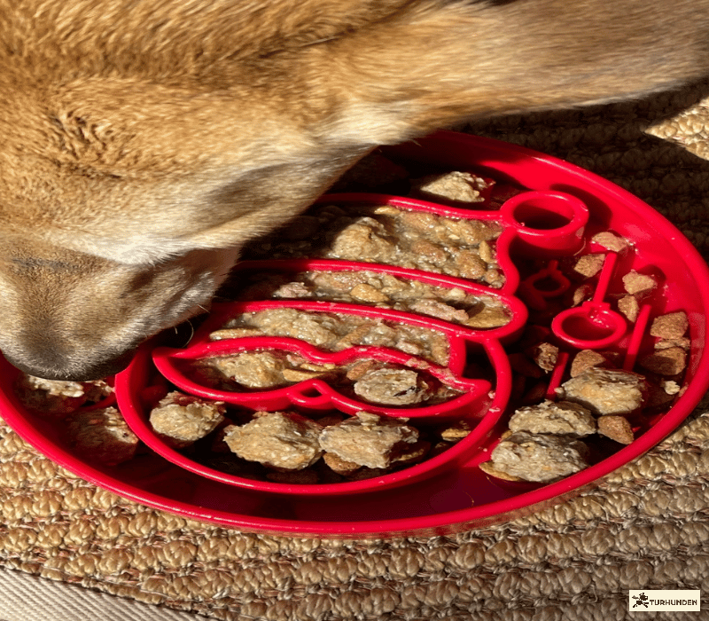 Sodapup Red Santa eBowl