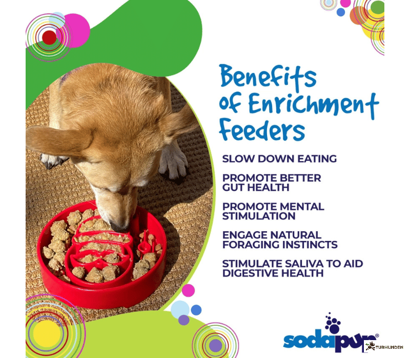 Sodapup Red Santa eBowl