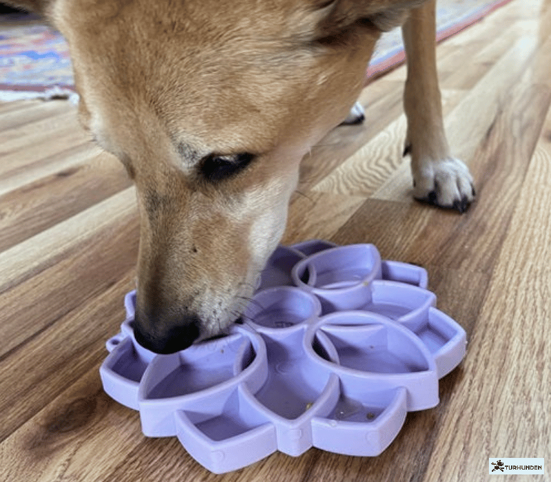 Sodapup Softie eTray Mandala