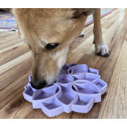 Sodapup Softie eTray Mandala