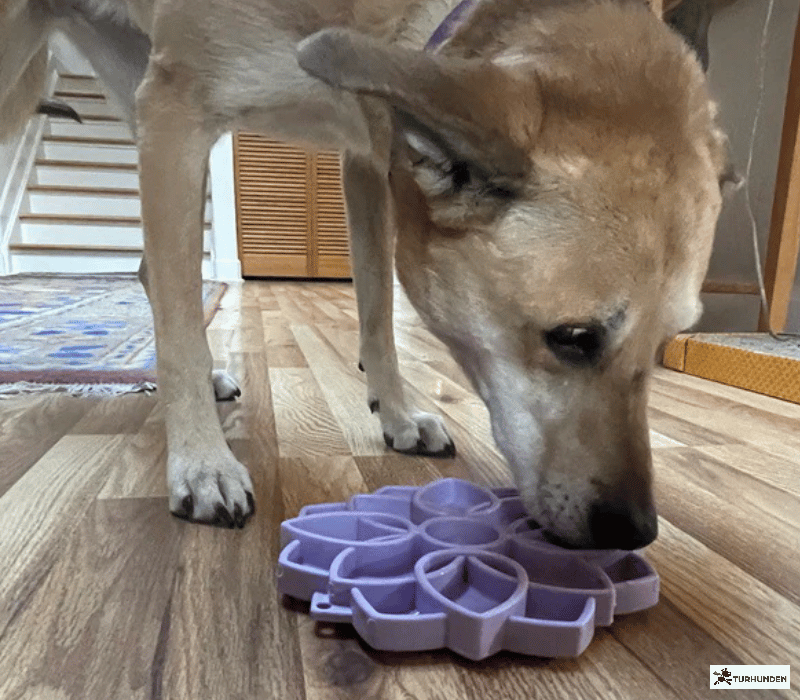 Sodapup Softie eTray Mandala