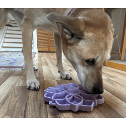 Sodapup Softie eTray Mandala