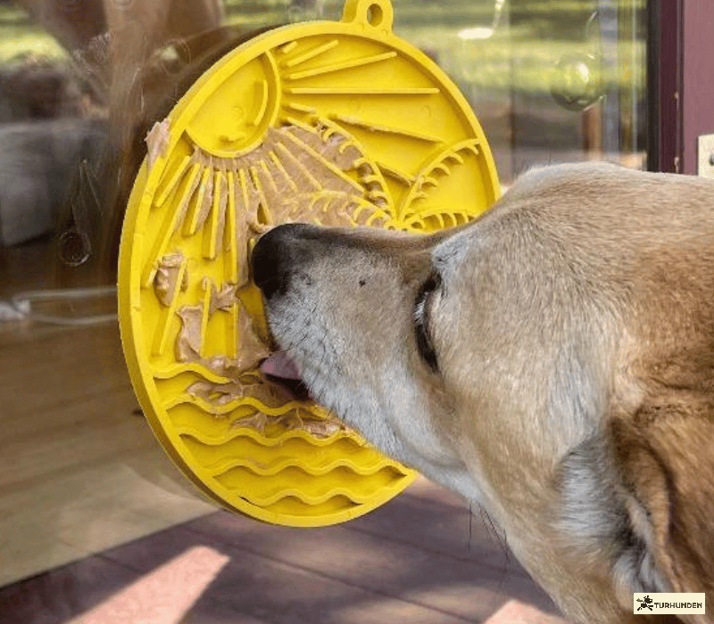 SodaPup eMat Sun n' Sea