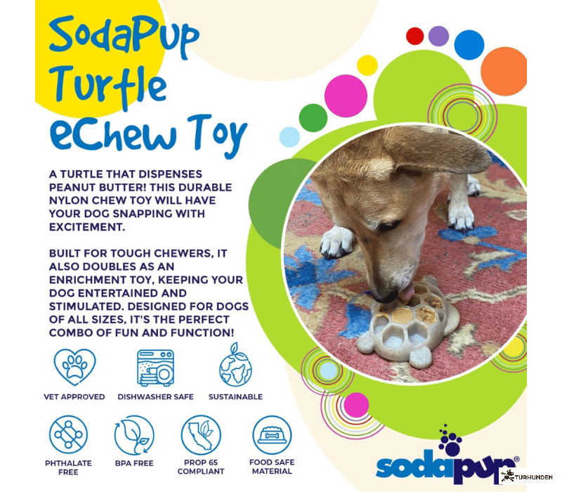 Sodapup Turtle eChew Durable Nylon