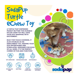 Sodapup Turtle eChew Durable Nylon