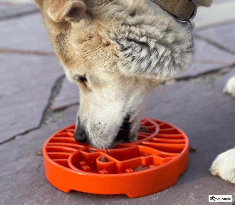 Sodapup Yin Yang  eTray