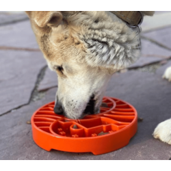 Sodapup Yin Yang  eTray