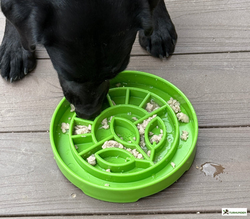 Sodapup eTray Garden