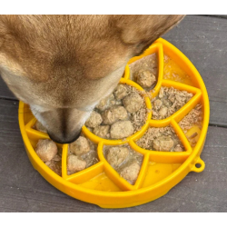 Sodapup eTray Sunflower