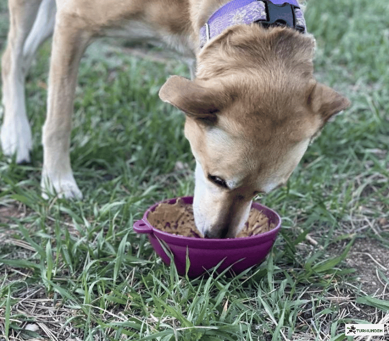Sodapup  ebowl Tipsy Bowl