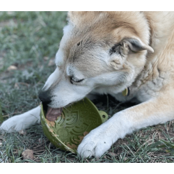 Sodapup  ebowl Tipsy Bowl