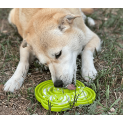 Sodapup Water Frog eTray