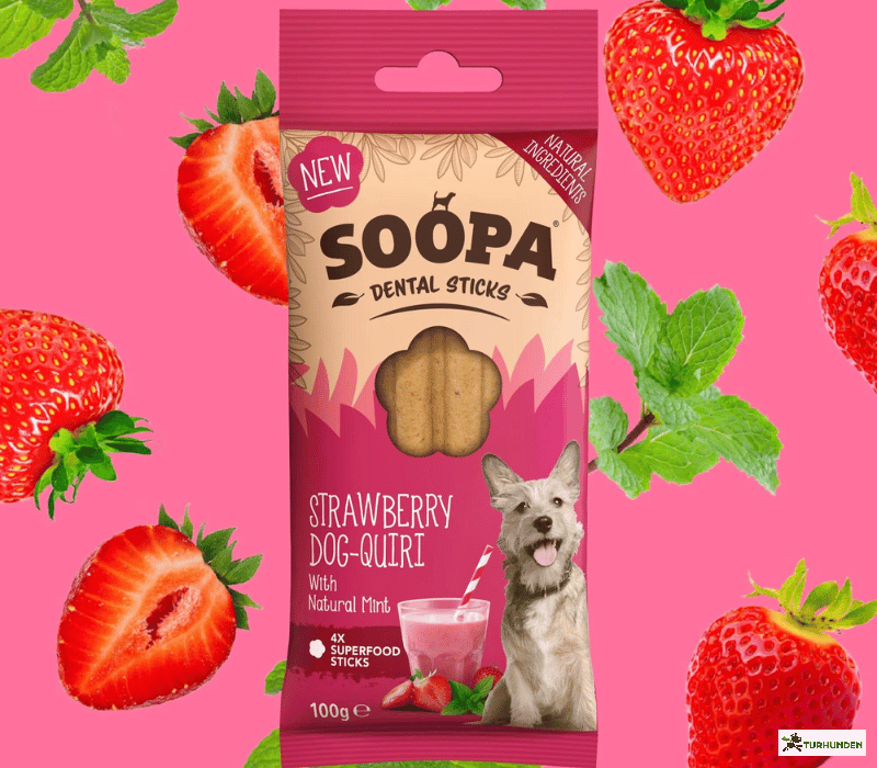Soopa Dental Sticks - Stawberry Dog-Quiri