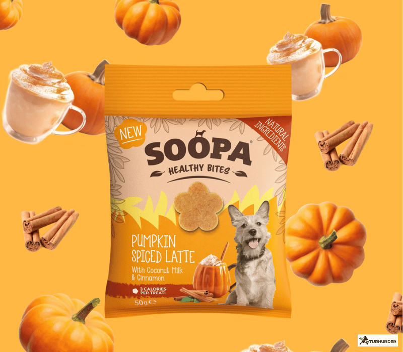 Soopa Bites - Pumpkin &amp; Spiced Latte, Coconut Milk &amp; Cinnamon