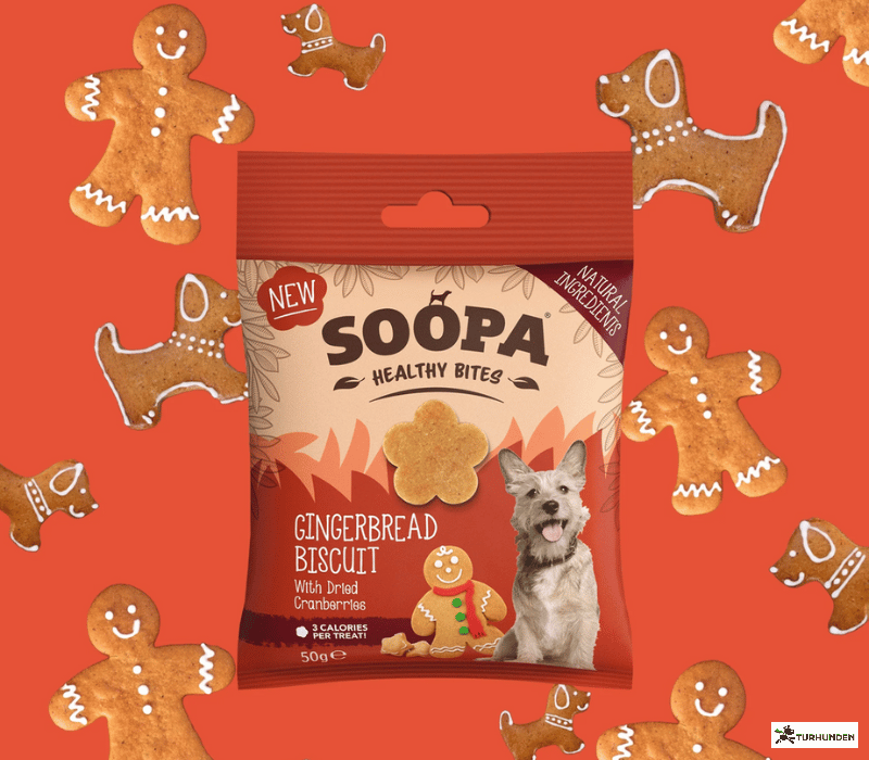 Soopa Bites - Gingerbread Biscuit
