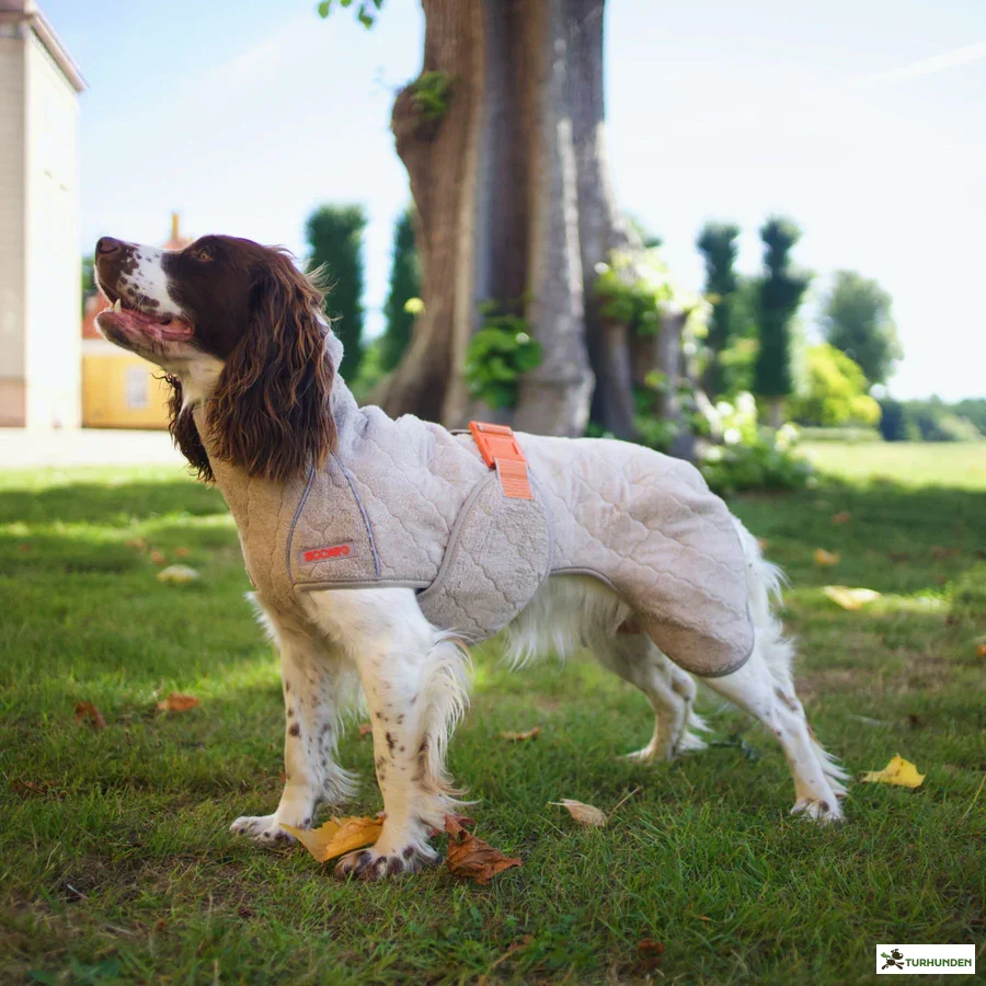 Siccaro - Supreme 2.0 