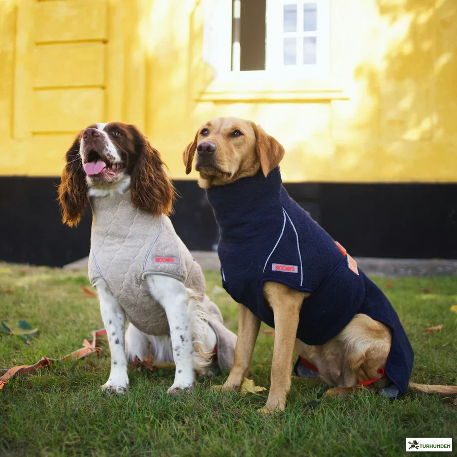 Siccaro - Supreme 2.0 