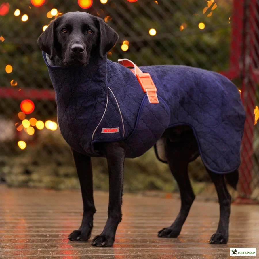 Siccaro - Supreme 2.0 