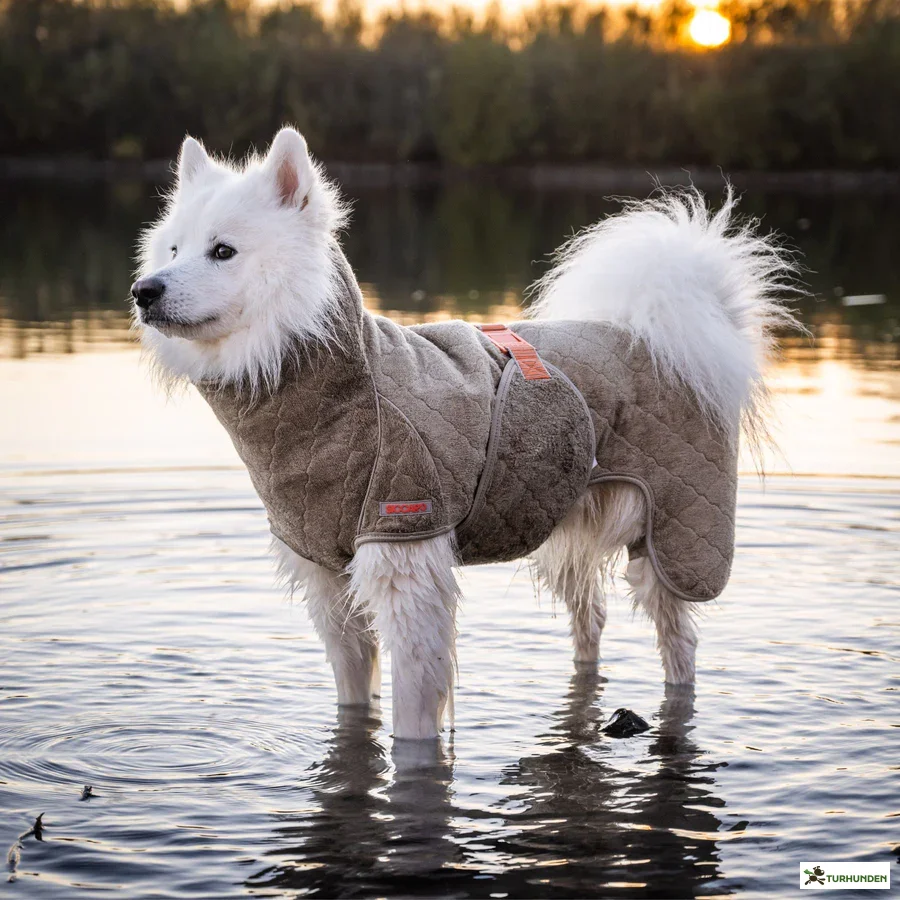 Siccaro - Supreme 2.0 