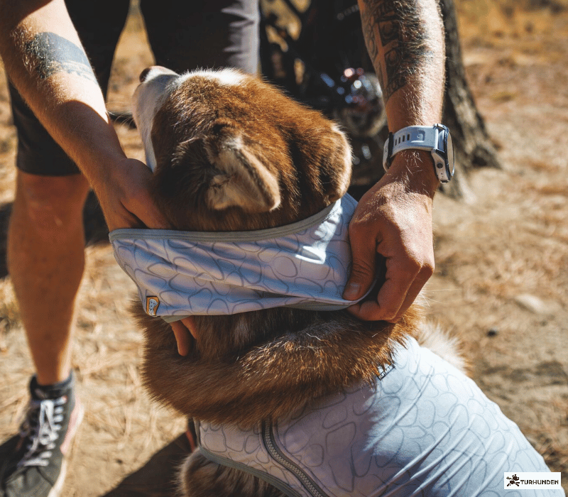 Ruffwear Swamp Cooler Neck Gaiter