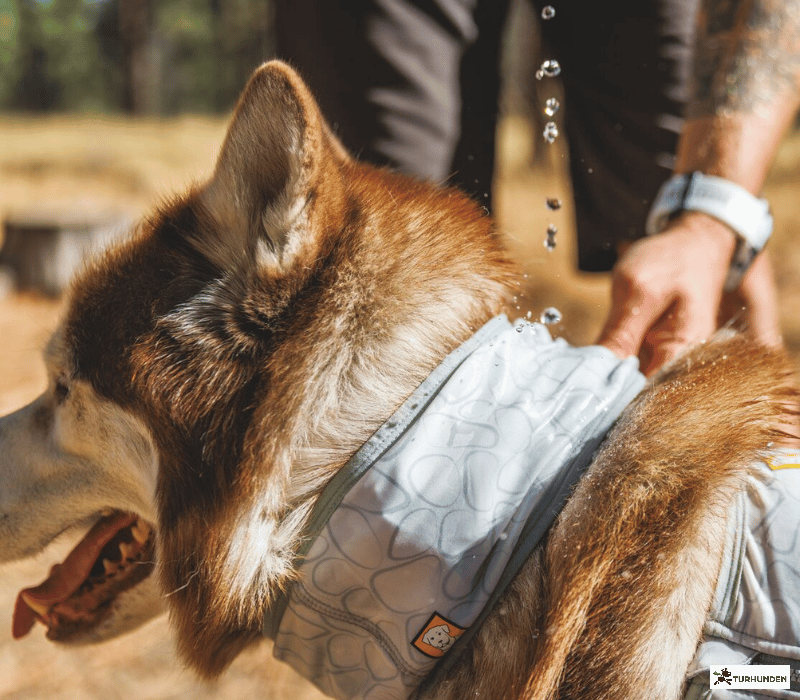 Ruffwear Swamp Cooler Neck Gaiter