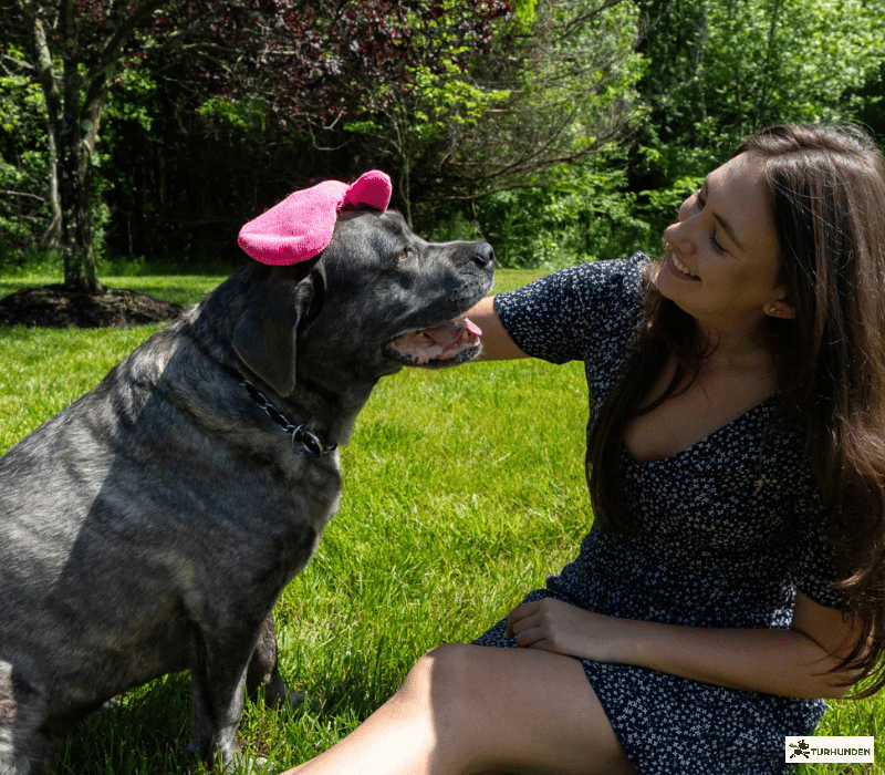 The Original Tick Mitt