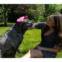 The Original Tick Mitt