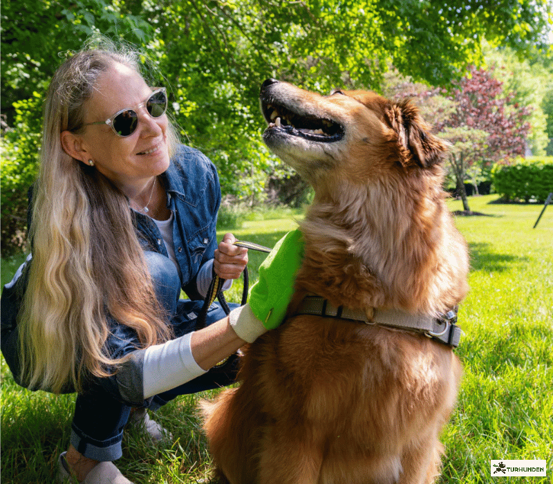 The Original Tick Mitt