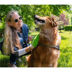 The Original Tick Mitt