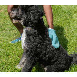 The Original Tick Mitt