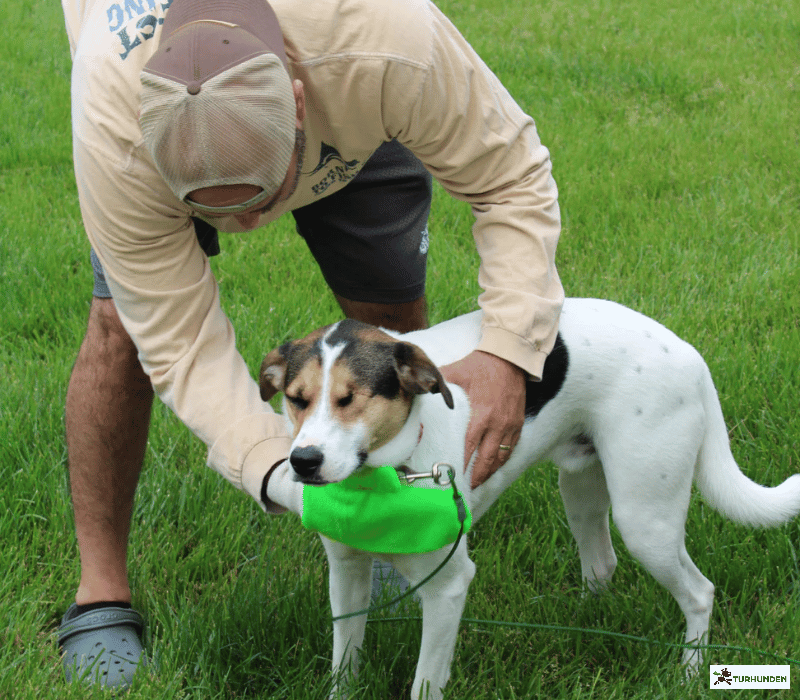 The Original Tick Mitt