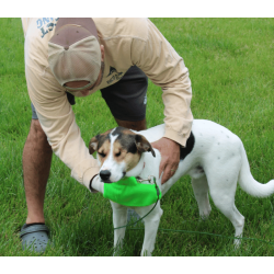 The Original Tick Mitt