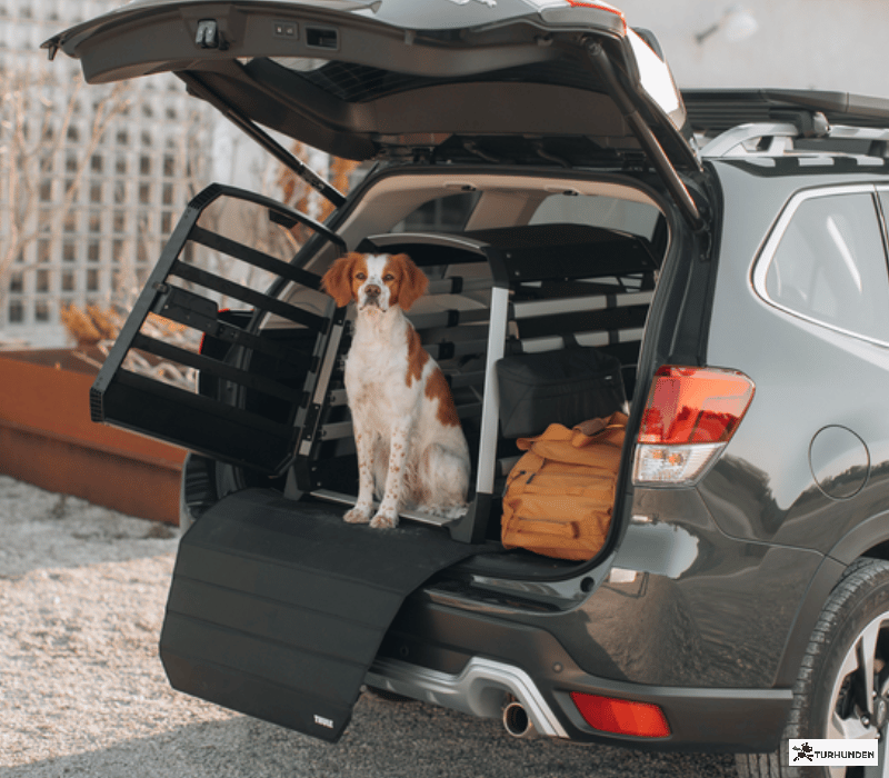 Thule Allax Hundebure