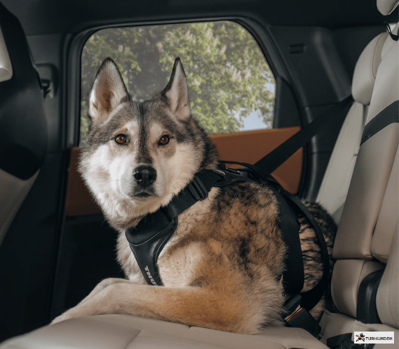 Thule Cappy Crashtestet sele 